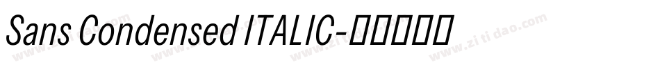 Sans Condensed ITALIC字体转换